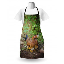 Chicken on Babies Apron