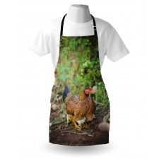 Chicken on Babies Apron