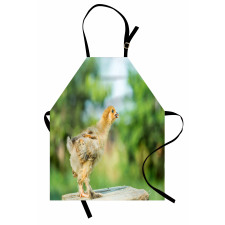 Little Baby Chicken on Log Apron