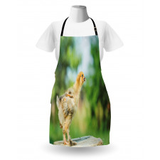 Little Baby Chicken on Log Apron