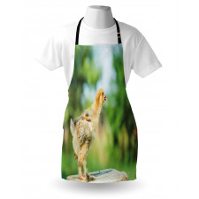 Little Baby Chicken on Log Apron