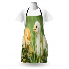 Close up Photo Baby Chickens Apron