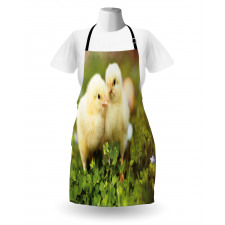 Baby Chickens Photo Apron