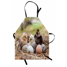 Little Chickens in Hay Eggs Apron