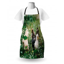 Little Chickens in Daisies Apron