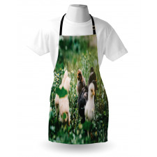 Little Chickens in Daisies Apron