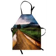 Puddles on Dirt Road Apron