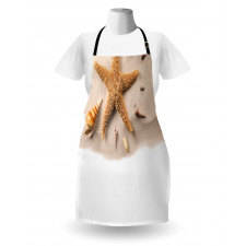 Close up Shot Seashells Apron