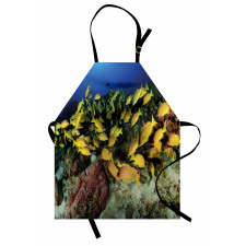 Tropical Fish Coral Reef Apron