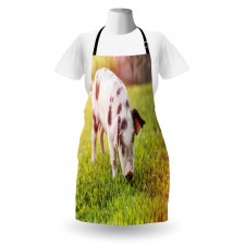 Baby Pig with Spots Apron