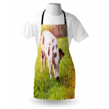 Baby Pig with Spots Apron