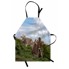 Resting Cows and Sky Apron