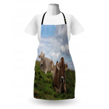 Resting Cows and Sky Apron