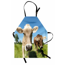 Close up Cows Apron