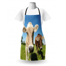 Close up Cows Apron