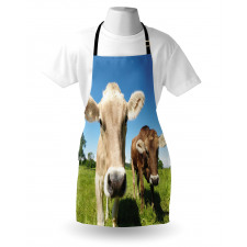 Close up Cows Apron