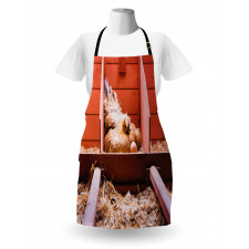 Hen in Cage with Eggs Apron