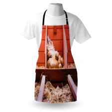 Hen in Cage with Eggs Apron