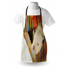 Newborn Dog in Gift Box Photo Apron