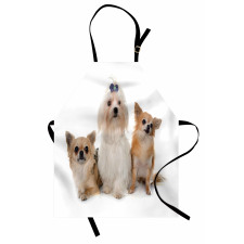 Chihuahua and Maltese Dogs Apron