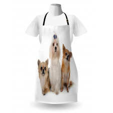 Chihuahua and Maltese Dogs Apron