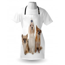 Chihuahua and Maltese Dogs Apron