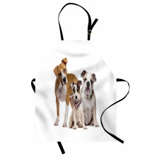 Funny Various Breeds of Dogs Apron