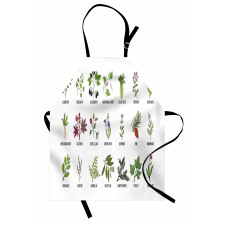 Natural Treatment Infographic Apron