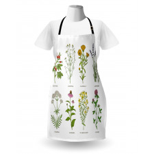 Natural Cosmetics Flowers Apron