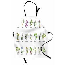 Educational Herbs Design Apron