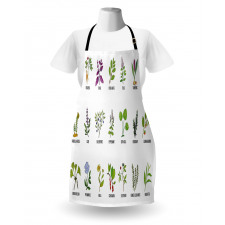 Educational Herbs Design Apron