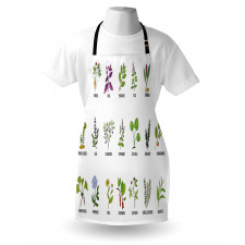 Educational Herbs Design Apron