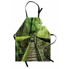 Rainforest in Inthanon Apron