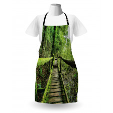 Rainforest in Inthanon Apron