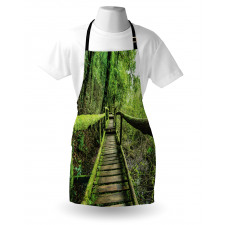 Rainforest in Inthanon Apron