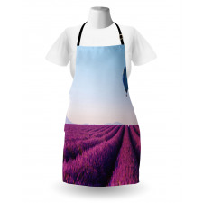 Lavender Field Balloon Apron