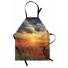 Scenic Field Sunset Sky Apron