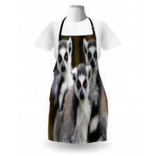 Ring Tailed Monkey Animals Apron