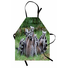 Ring Tailed Madagascar Monkey Apron