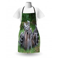 Ring Tailed Madagascar Monkey Apron