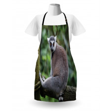 Photo of Madagascar Mammal Apron