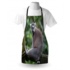 Photo of Madagascar Mammal Apron