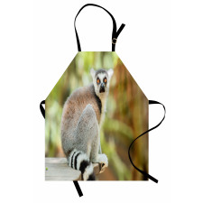 Aperture Photo Mammal Animal Apron