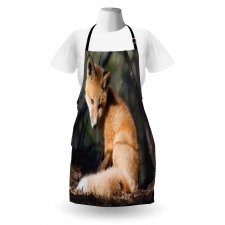 Young Coyote in Forest Sunrays Apron