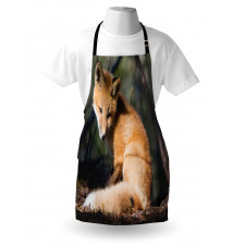 Young Coyote in Forest Sunrays Apron