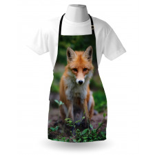 Young Coyote Photo Apron