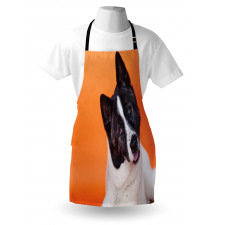 Akita on Orange Apron