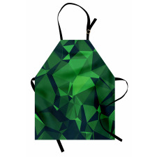 Abstract Poly Apron