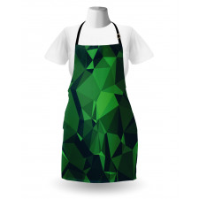 Abstract Poly Apron