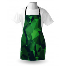 Abstract Poly Apron